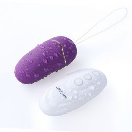 Erocome UrsaMinor Basic Remote Vibrator